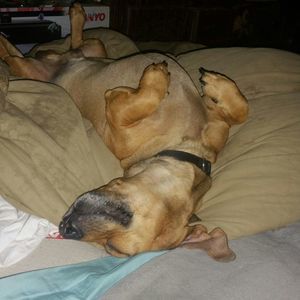 Meet your Posher, Kirk